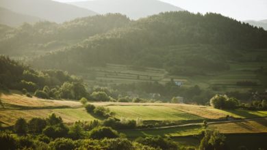 Jedne z najpopularniejszych wiązań narciarskich – marka Atomic
